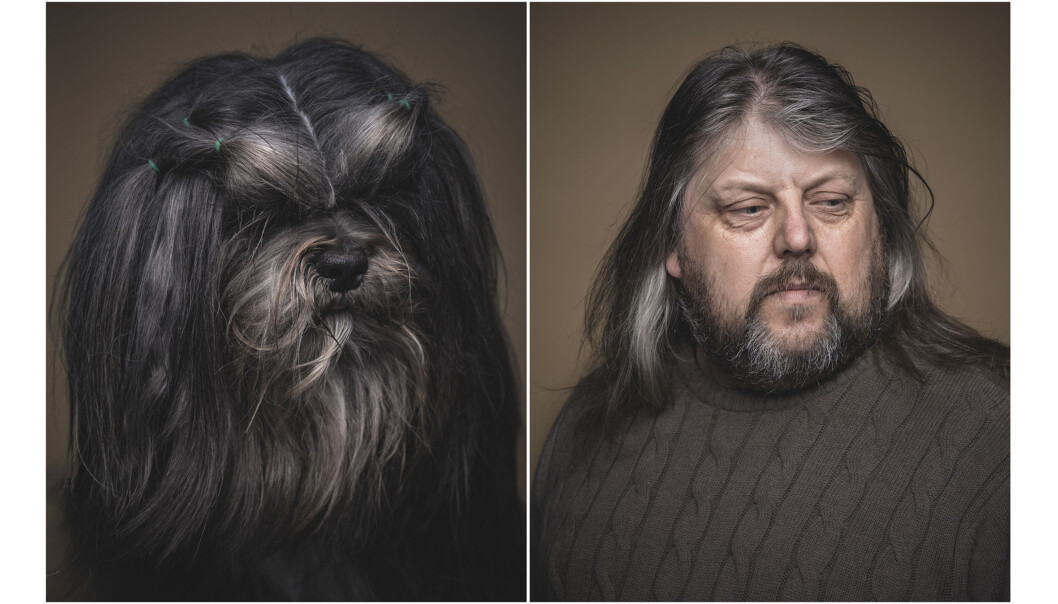 - Hundeeieren var en sofatype og hadde en typisk sofahund, forteller fotografen. Foto: Krister Sørbø - Hundeeieren var en sofatype og hadde en typisk sofahund, forteller fotografen. Foto: Krister Sørbø