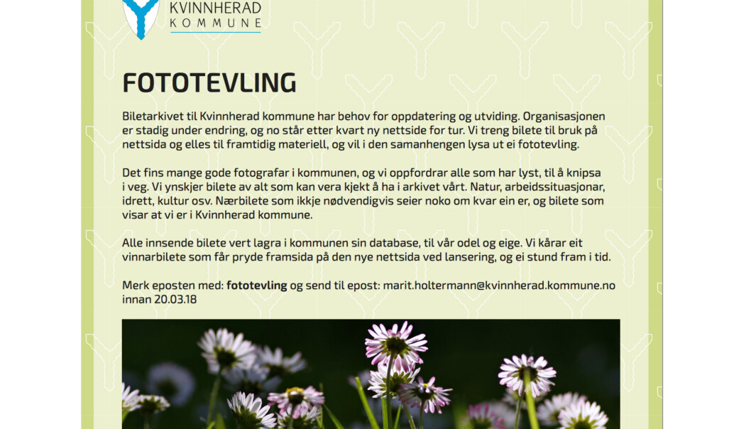 Skjermdump av den opprinnelige konkurranse-utlysningen. Foto: Skjermdump Skjermdump av den opprinnelige konkurranse-utlysningen. Foto: Skjermdump
