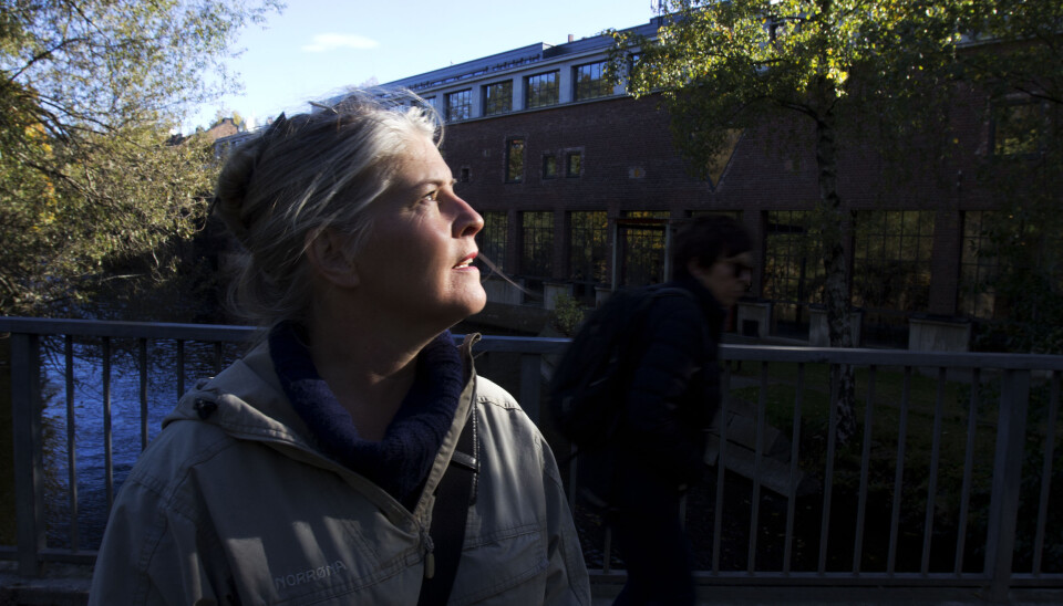 Noen kolleger er blitt nedbemannet, andre har sagt opp. Anniken Mihle i NRK Østlandssendingen håper turnusen som kommer ikke blir for heftig. Foto: Martin Huseby Jensen Noen kolleger er blitt nedbemannet, andre har sagt opp. Anniken Mihle i NRK Østlandssendingen håper turnusen som kommer ikke blir for heftig. Foto: Martin Huseby Jensen