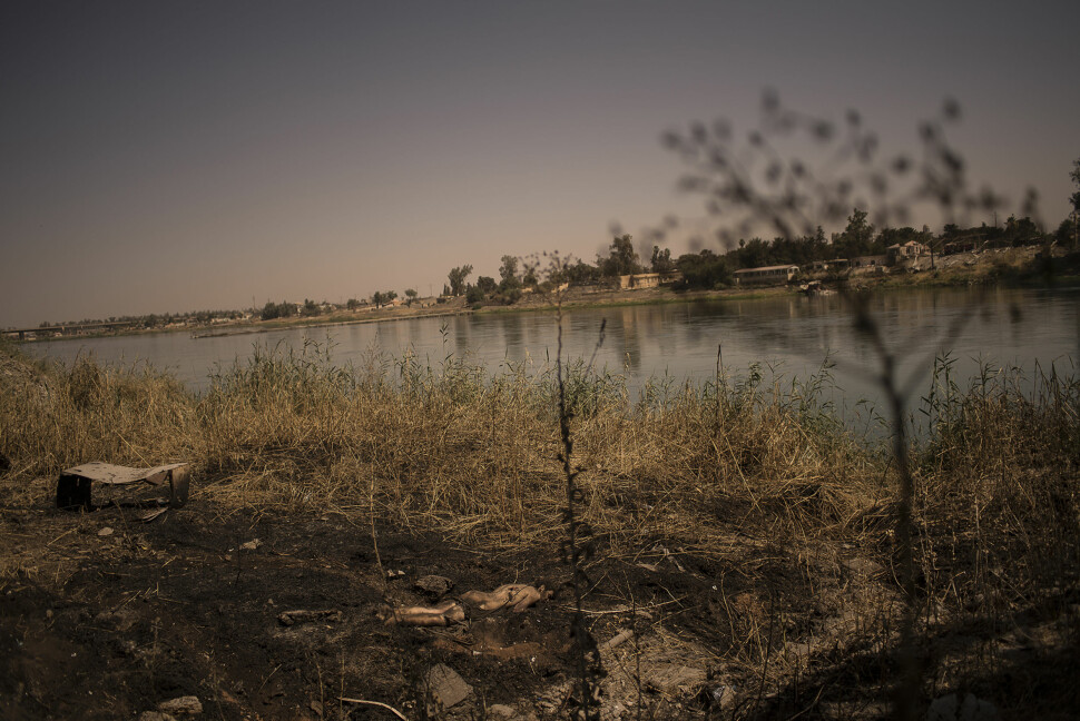 Liket av en ung mann ligger ved elvebredden langs Tigris i Mosul. Fotograf André Liohn forteller at han har sett hundrevis av lik i gamlebyen de siste dagene. Foto: André Liohn