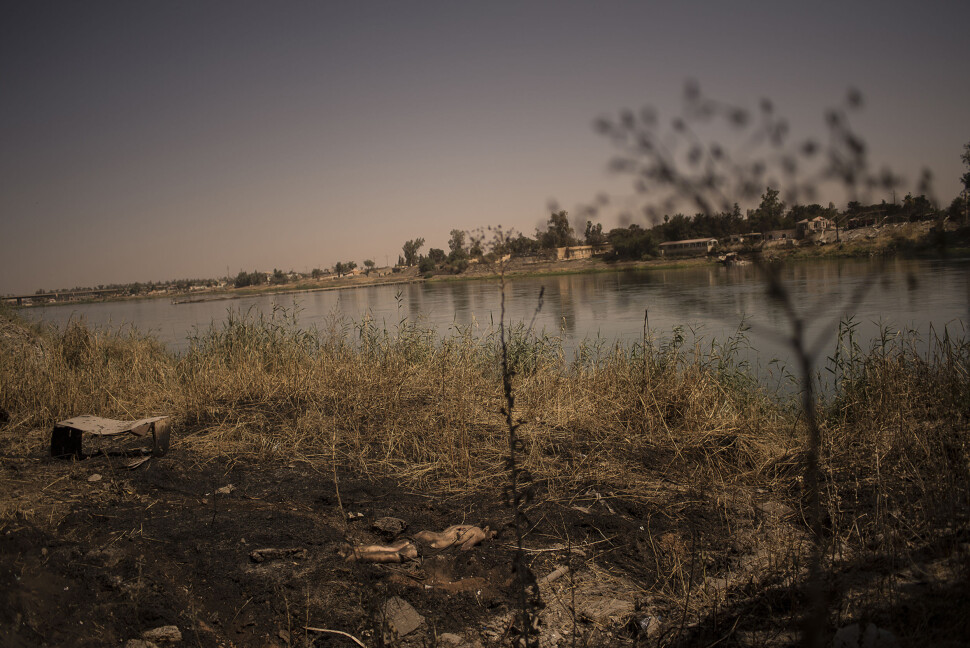 Liket av en ung mann ligger ved elvebredden langs Tigris i Mosul. Fotograf André Liohn forteller at han har sett hundrevis av lik i gamlebyen de siste dagene. Foto: André Liohn Liket av en ung mann ligger ved elvebredden langs Tigris i Mosul. Fotograf André Liohn forteller at han har sett hundrevis av lik i gamlebyen de siste dagene. Foto: André Liohn