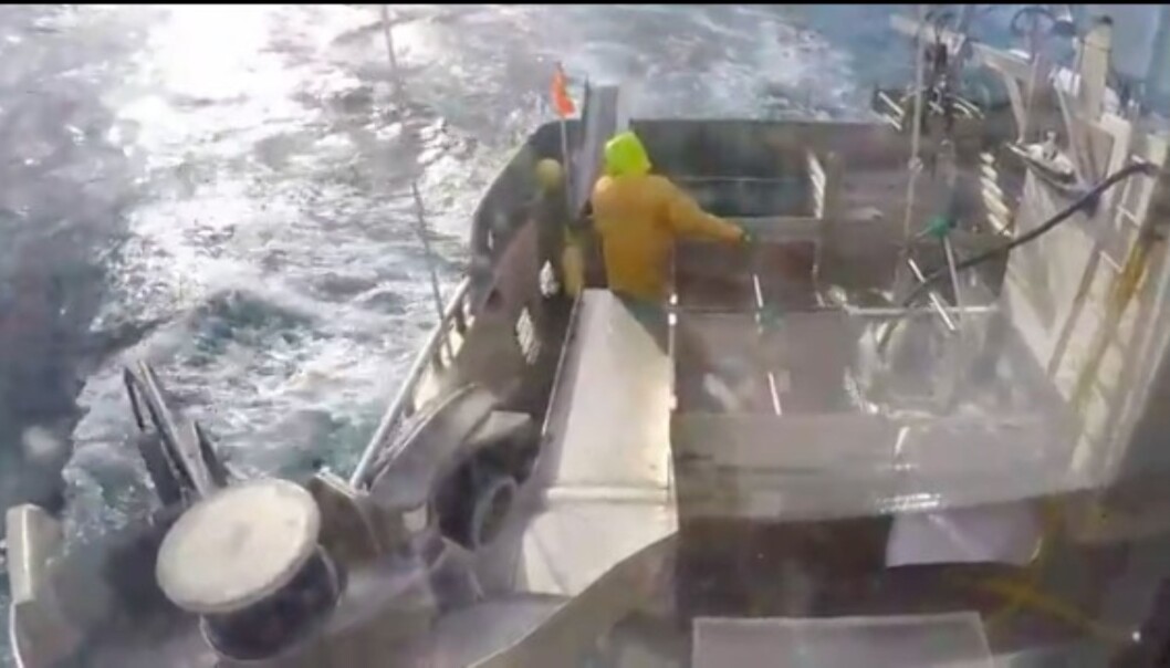 Skjermdump fra Fiskeribladets sakt-tv-satsing. Skjermdump fra Fiskeribladets sakt-tv-satsing.