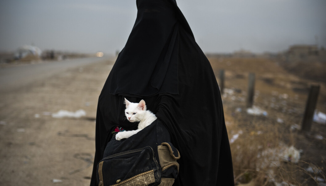 Lulu: En kvinne og hennes katt Lulu (arabisk for perle) venter på transport til en flyktningeleir I Shaqouli i Nord-Irak, for å komme seg bort fra kampene mellom IS og irakiske styrker i Mosul. Lulu: En kvinne og hennes katt Lulu (arabisk for perle) venter på transport til en flyktningeleir I Shaqouli i Nord-Irak, for å komme seg bort fra kampene mellom IS og irakiske styrker i Mosul.
