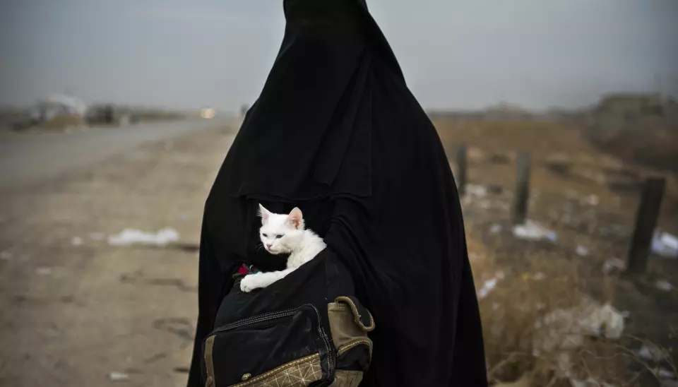 Lulu: En kvinne og hennes katt Lulu (arabisk for perle) venter på transport til en flyktningeleir I Shaqouli i Nord-Irak, for å komme seg bort fra kampene mellom IS og irakiske styrker i Mosul.