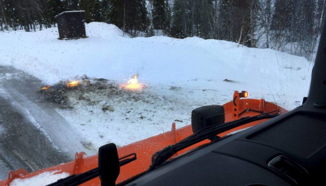 Namdalsavisa har mottatt dette bildet fra en leser. Foto: privat Namdalsavisa har mottatt dette bildet fra en leser. Foto: privat