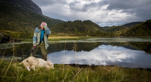 Derfor brukte fotografen tre år på å skildre småbruk i Suldal Derfor brukte fotografen tre år på å skildre småbruk i Suldal