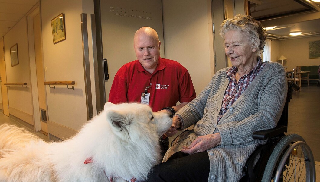 Gretha Bjørnson har sittet i enden av korridoren og ventet på at Stig Persson og Marco skal komme på besøk til Kråkstadtunet. De ses hver fredag. Foto: Kari Kløvstad Gretha Bjørnson har sittet i enden av korridoren og ventet på at Stig Persson og Marco skal komme på besøk til Kråkstadtunet. De ses hver fredag. Foto: Kari Kløvstad