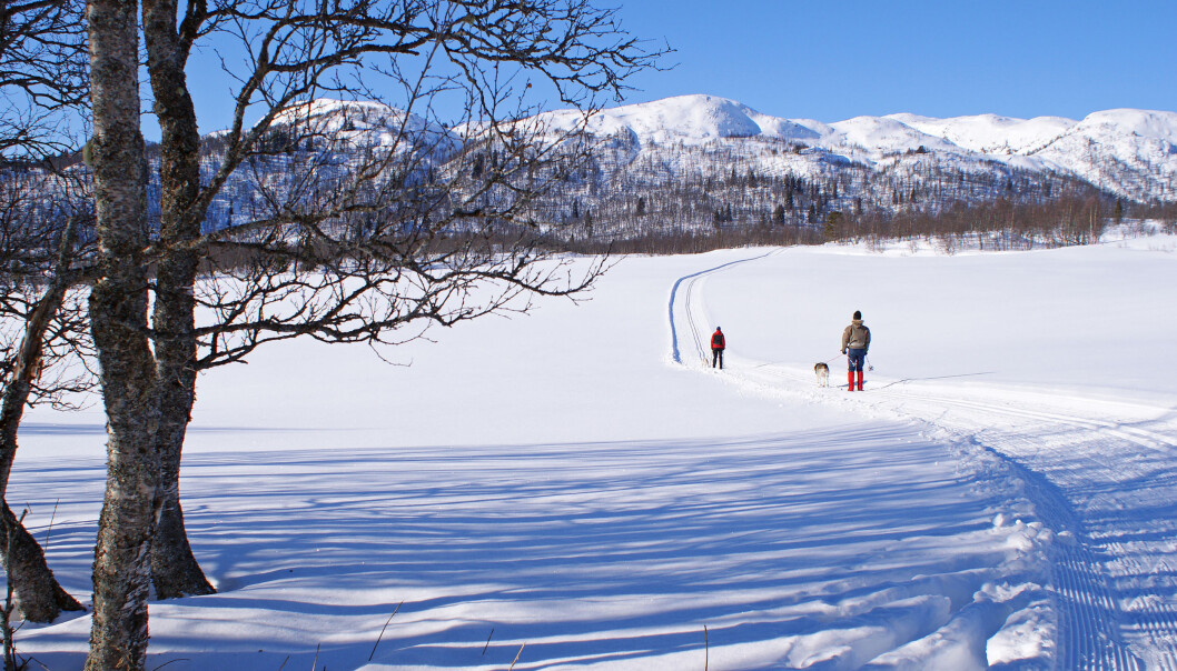 Å kunna gå på ski på blanke føremiddagen, er berre som bonus å rekne, skriv Heidi Hjorteland Wigestrand. Illustrasjonsfoto: Randi Hausken/Flickr.com Å kunna gå på ski på blanke føremiddagen, er berre som bonus å rekne, skriv Heidi Hjorteland Wigestrand. Illustrasjonsfoto: Randi Hausken/Flickr.com