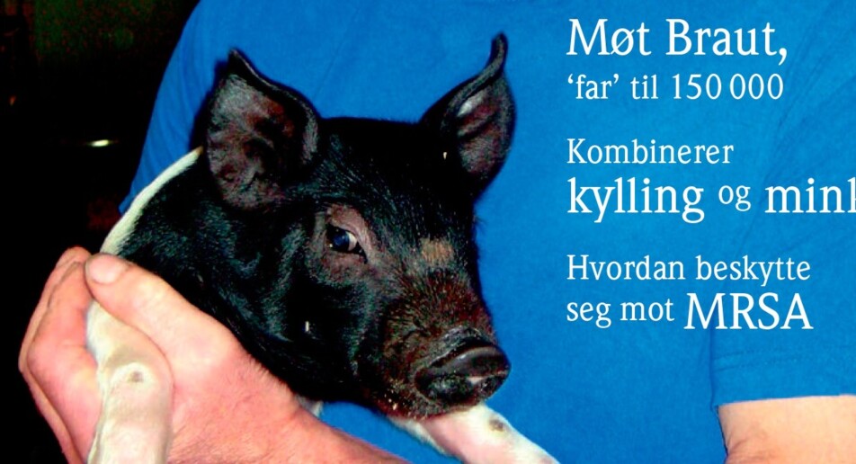 Bønder får nytt fagblad om kjøtt og egg