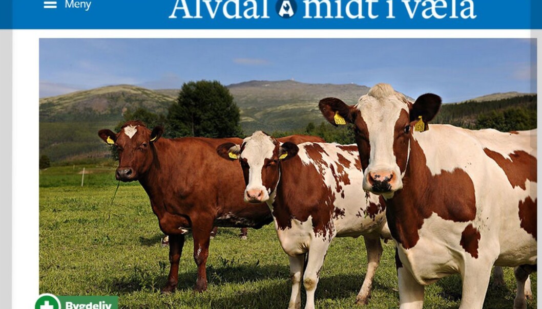 Superlokale Alvdalmiv.no kan skilte med 700 abonnenter. Superlokale Alvdalmiv.no kan skilte med 700 abonnenter.