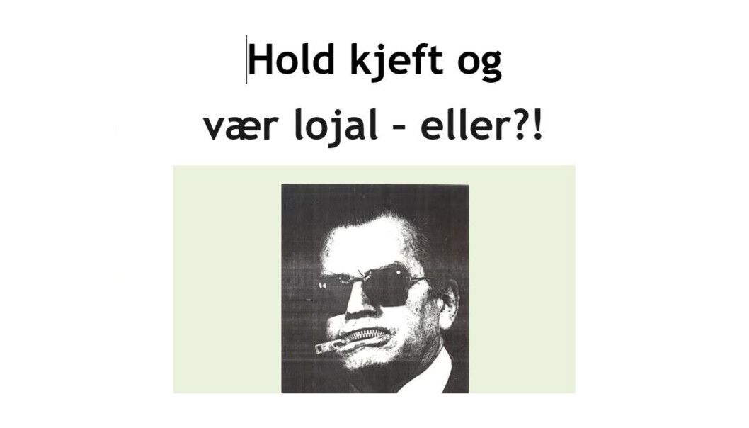 Fra NR-rapportens forside. Fra NR-rapportens forside.