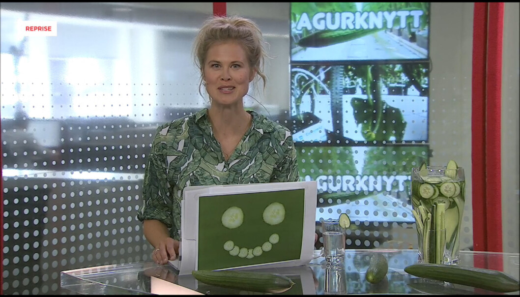 Programleder Nora Thorp Bjørnstad ledet første sending av Agurknytt. Skjermbilde VGTV Programleder Nora Thorp Bjørnstad ledet første sending av Agurknytt. Skjermbilde VGTV