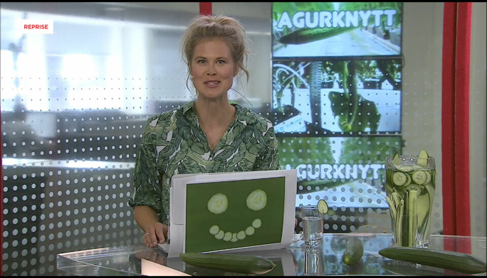 Programleder Nora Thorp Bjørnstad ledet første sending av Agurknytt. Skjermbilde VGTV
