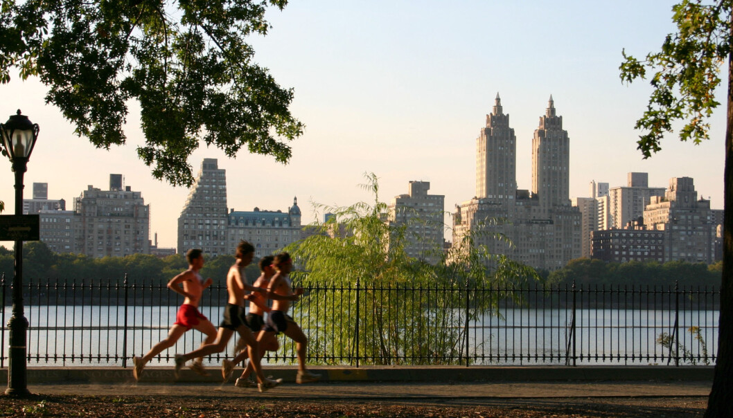 Jogging i Central Park. Foto: Patrick Gruban/Wikimedia Jogging i Central Park. Foto: Patrick Gruban/Wikimedia