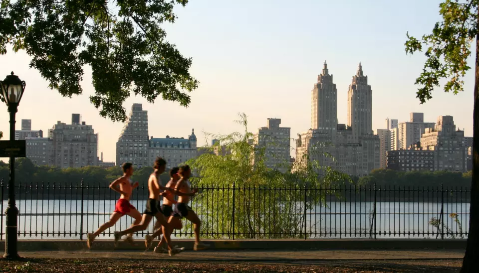 Jogging i Central Park. Foto: Patrick Gruban/Wikimedia