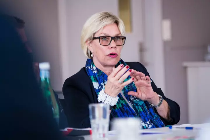 Professor emerita Fanny Duckert ved Universitetet i Oslo har forsket på virkningene av medienes søkelys. Foto: Ola Sæther, UiO