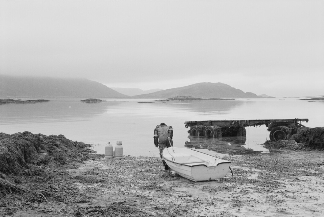 Foto: Ingun Alette Mæhlum Foto: Ingun Alette Mæhlum
