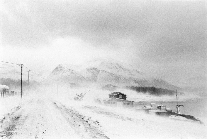 Foto: Ingun Alette Mæhlum Foto: Ingun Alette Mæhlum