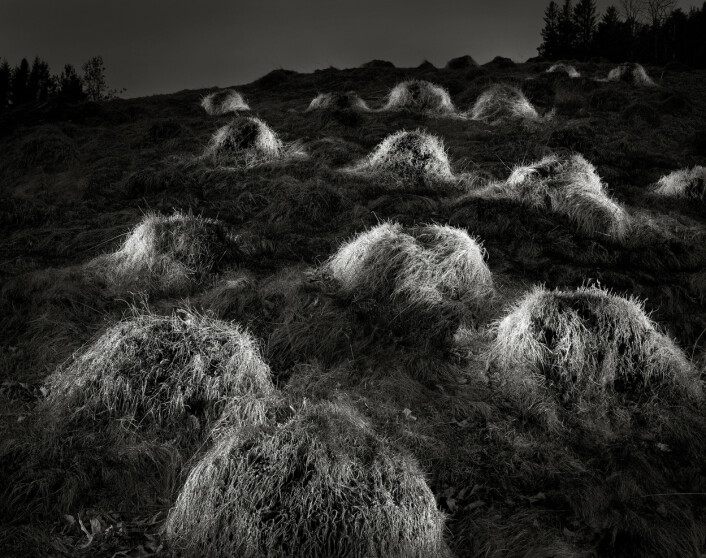 Foto: Rune Sævig, Bergens Tidende Foto: Rune Sævig, Bergens Tidende