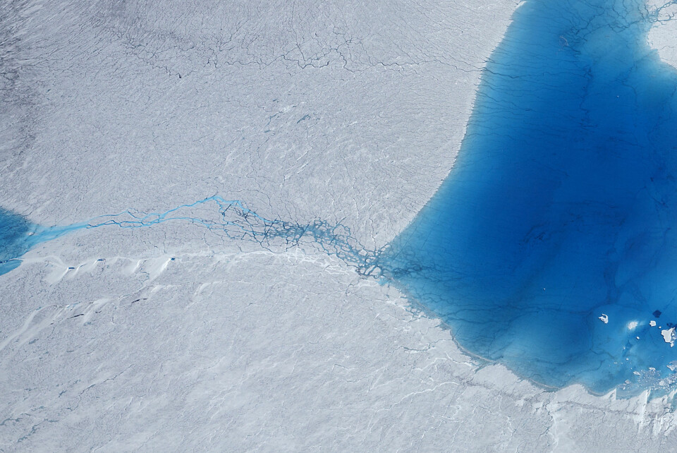 1. pris klima og miljø: Linda Næsfeldt, Dagens Næringsliv. Over frysepunktet: Ovenfra er Grønlandsisen et imponerende syn, men klimaendringer er ikke vakkert. Det bare ser sånn ut. 2016 var et unormalt varmt år og tempraturen steg raskest i Arktis. Issmeltingen på Grønland og i resten av Arktis er blitt selve symbolet på at noe er alvorlig galt med klimaet på kloden.