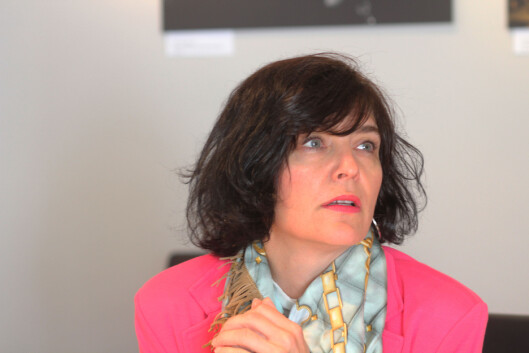 Kjersti Løken Stavrum mener vi alle er leilendinger<br>på Facebook. Kjersti Løken Stavrum mener vi alle er leilendinger<br>på Facebook.