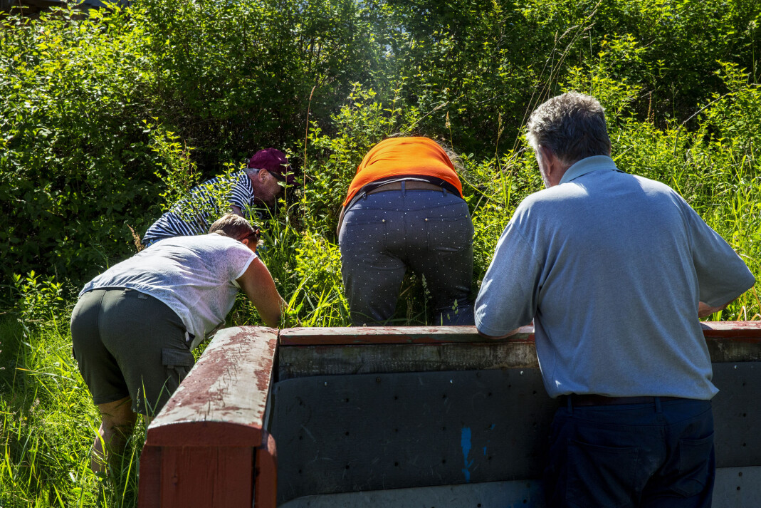 Hver dag kommer denne gjengen til Ilsvika for å spille skotthyll, med piggsko og hansker om vinteren. Foto: Finn Walther Hver dag kommer denne gjengen til Ilsvika for å spille skotthyll, med piggsko og hansker om vinteren. Foto: Finn Walther