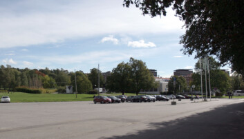 Parkeringsplassen på Tøyen er et alternativ.