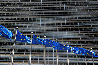 EUs medlemsland åpner for nullmoms på digitale medier
