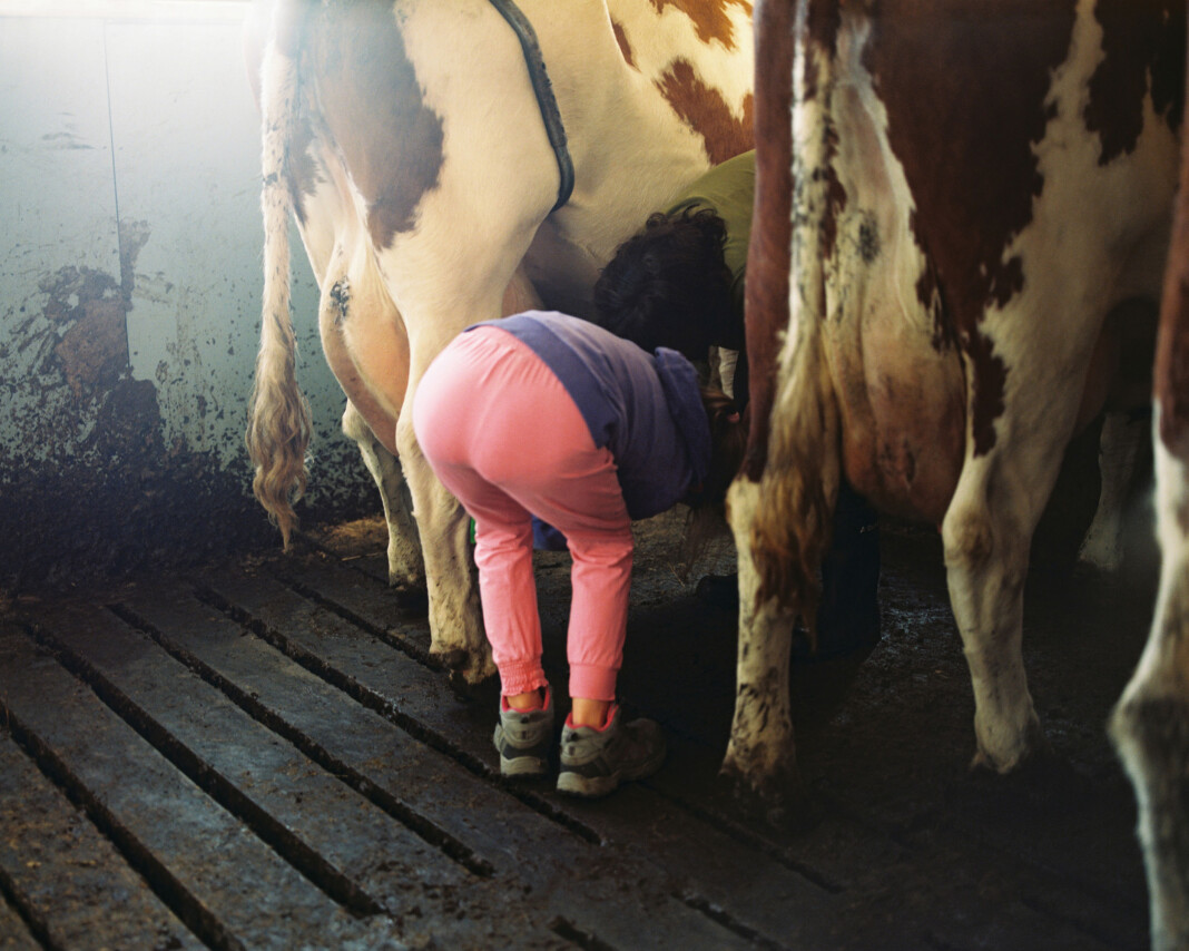 Haug. Alle bildene i boka Leveld – ei bok om heime, har kun det ultralokale stedsnavnet i bildeteksten. Foto: Signe Fuglesteg Luksengard Haug. Alle bildene i boka Leveld – ei bok om heime, har kun det ultralokale stedsnavnet i bildeteksten. Foto: Signe Fuglesteg Luksengard