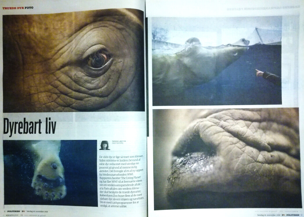 Faksimile, Politiken, søndag 18. november 2018 Faksimile, Politiken, søndag 18. november 2018