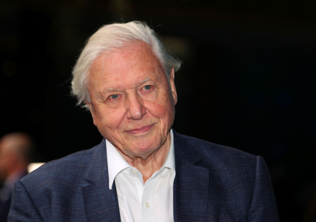 Serien «Our Planet», hvor Sir David Attenborough har fortellerstemmen, kommer til å kunne strømmes på Netflix senere i år. Foto: Reuters / NTB scanpix Serien «Our Planet», hvor Sir David Attenborough har fortellerstemmen, kommer til å kunne strømmes på Netflix senere i år. Foto: Reuters / NTB scanpix