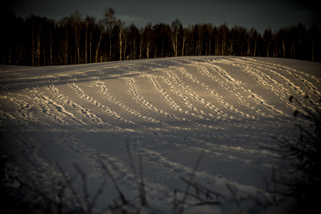 Savnet: Janne Jemtland er savnet i Brumunddal. Letingen fortsetter, og på nesten hvert eneste jorde er den kalde snøen tråkket ned i jakten på nye spor. Foto: Christian Roth Christensen Frilans/Dagbladet Savnet: Janne Jemtland er savnet i Brumunddal. Letingen fortsetter, og på nesten hvert eneste jorde er den kalde snøen tråkket ned i jakten på nye spor. Foto: Christian Roth Christensen Frilans/Dagbladet