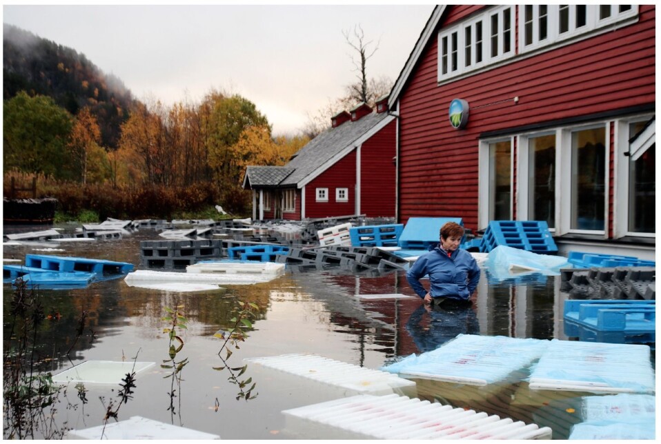 Foto: Stine Strand Carlsen/Hordaland Foto: Stine Strand Carlsen/Hordaland
