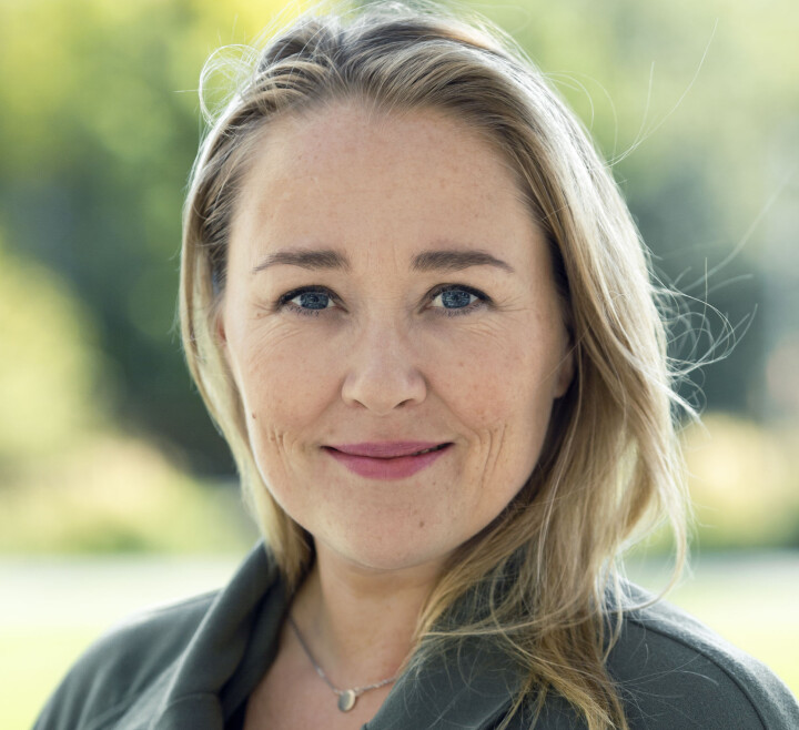 40 år gamle Birgitte Hoff Lysholm er ansatt som redaksjonssjef i Sol.no-satsingen Vi.no. Foto: Astrid Waller 40 år gamle Birgitte Hoff Lysholm er ansatt som redaksjonssjef i Sol.no-satsingen Vi.no. Foto: Astrid Waller