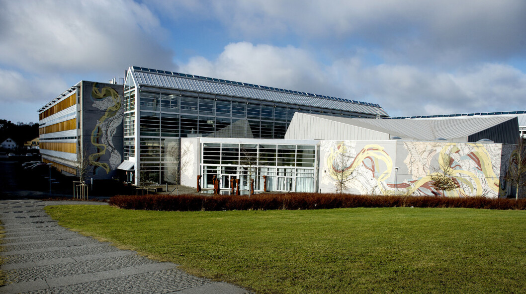 Universitetet i Stavanger har høyere poengkrav i år enn i fjor for å komme inn på journalistikkstudiet. Foto: Carina Johansen / NTB scanpix Universitetet i Stavanger har høyere poengkrav i år enn i fjor for å komme inn på journalistikkstudiet. Foto: Carina Johansen / NTB scanpix