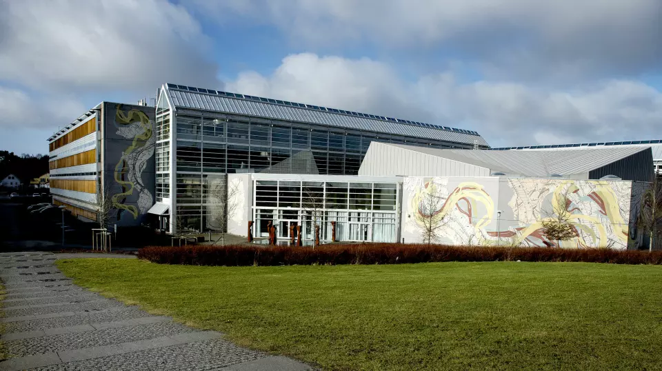 Universitetet i Stavanger har høyere poengkrav i år enn i fjor for å komme inn på journalistikkstudiet. Foto: Carina Johansen / NTB scanpix