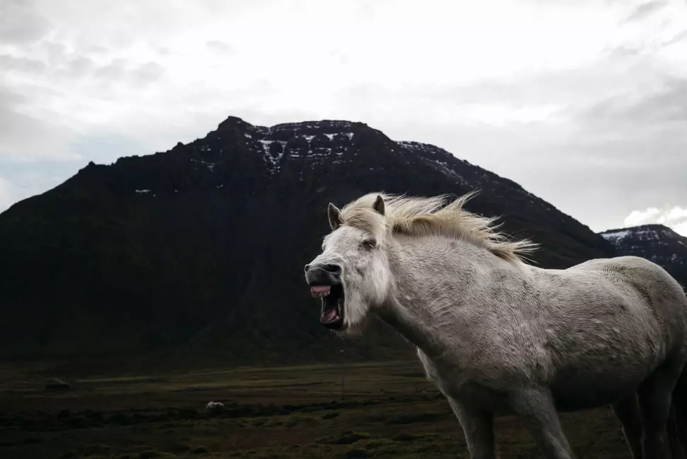 Tommy Ellingsens dokumentarprosjekt fra Island handler om unge islenderes drømmer og mål etter at det økonomiske systemet kollapset. Foto: Tommy Ellingsen