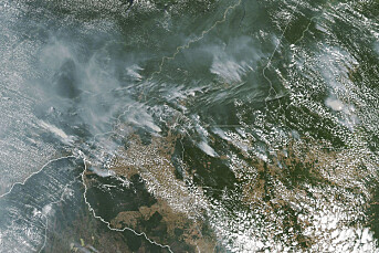 Det brenner ikke rekordmye i Amazonas i år, og regnskogen er ikke «jordas lunger»
