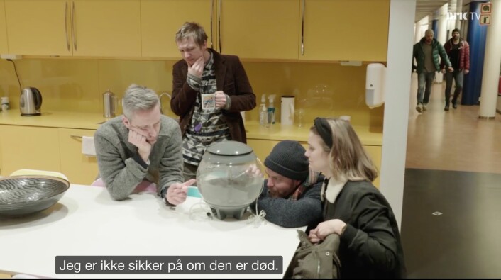 NRK har fått 10.000 kroner i bot etter Satiriks-stunt