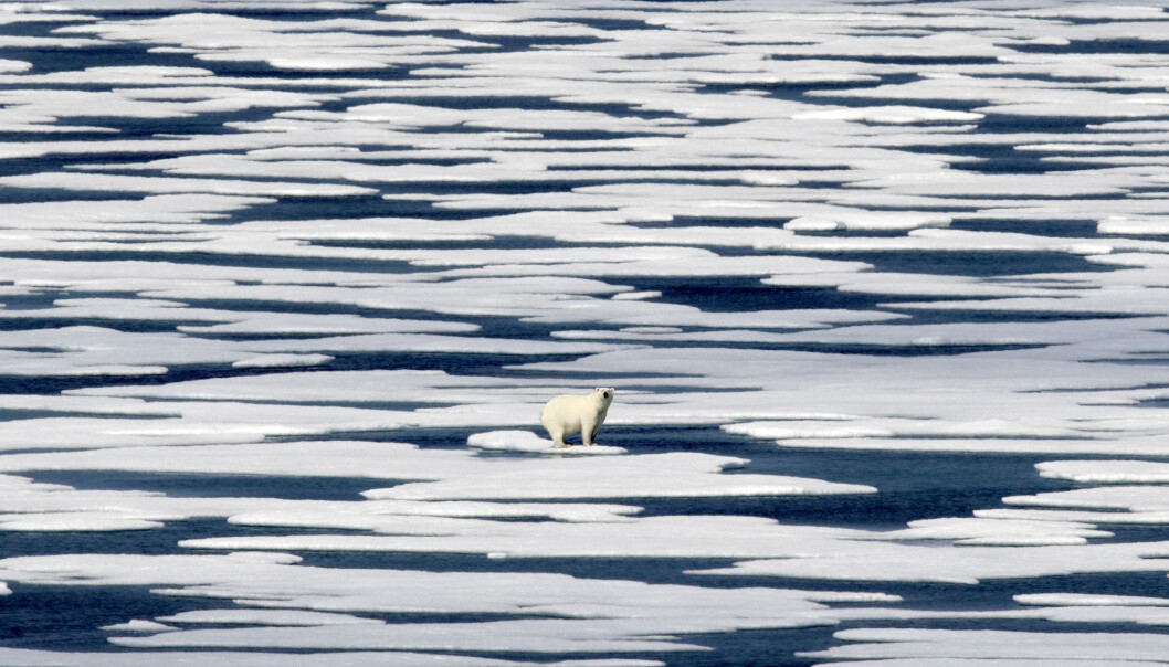 Tenk visuelt, og dropp isbjørnbildene, er ett av tipsene fra NRKs Astrid Rommetveit. – Finn bilder som bringer tematikken nærmere, som viser det som faktisk skjer der folk bor. Foto: David Goldman / AP / NTB scanpix Tenk visuelt, og dropp isbjørnbildene, er ett av tipsene fra NRKs Astrid Rommetveit. – Finn bilder som bringer tematikken nærmere, som viser det som faktisk skjer der folk bor. Foto: David Goldman / AP / NTB scanpix