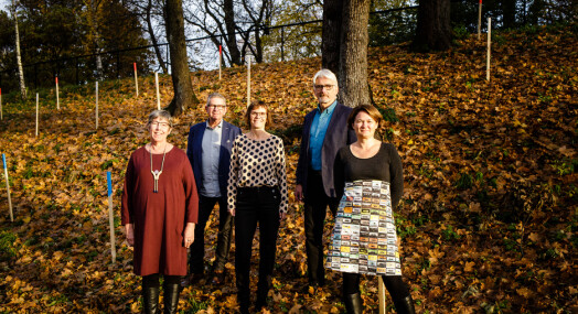 Har hatt pause i to år. Slik skal journalistutdanninga i Bodø holde på studentene nå Har hatt pause i to år. Slik skal journalistutdanninga i Bodø holde på studentene nå