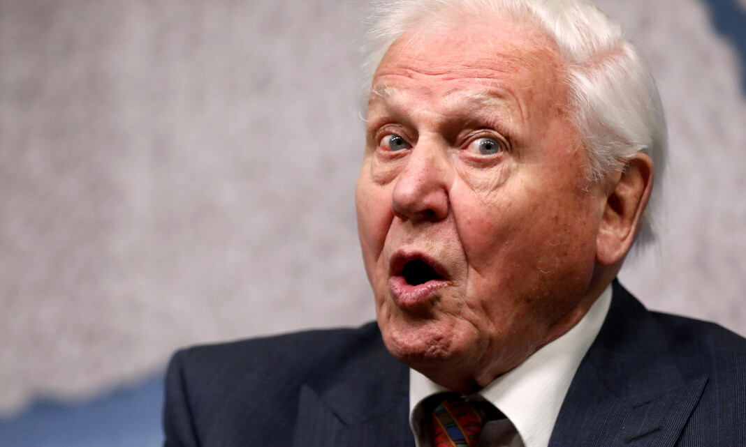 Faktisk.no: Nei, David Attenborough har ikke kalt norsk vindkraft «galskap» eller «en skandale»