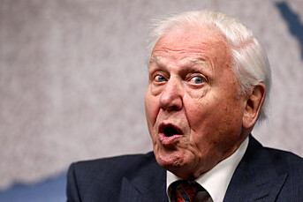 Faktisk.no: Nei, David Attenborough har ikke kalt norsk vindkraft «galskap» eller «en skandale»