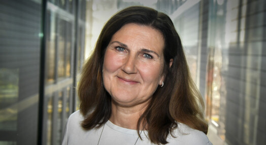 Taus veidirektør vil ikke la seg intervjue før neste år Taus veidirektør vil ikke la seg intervjue før neste år