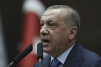 Erdogan anmelder journalist