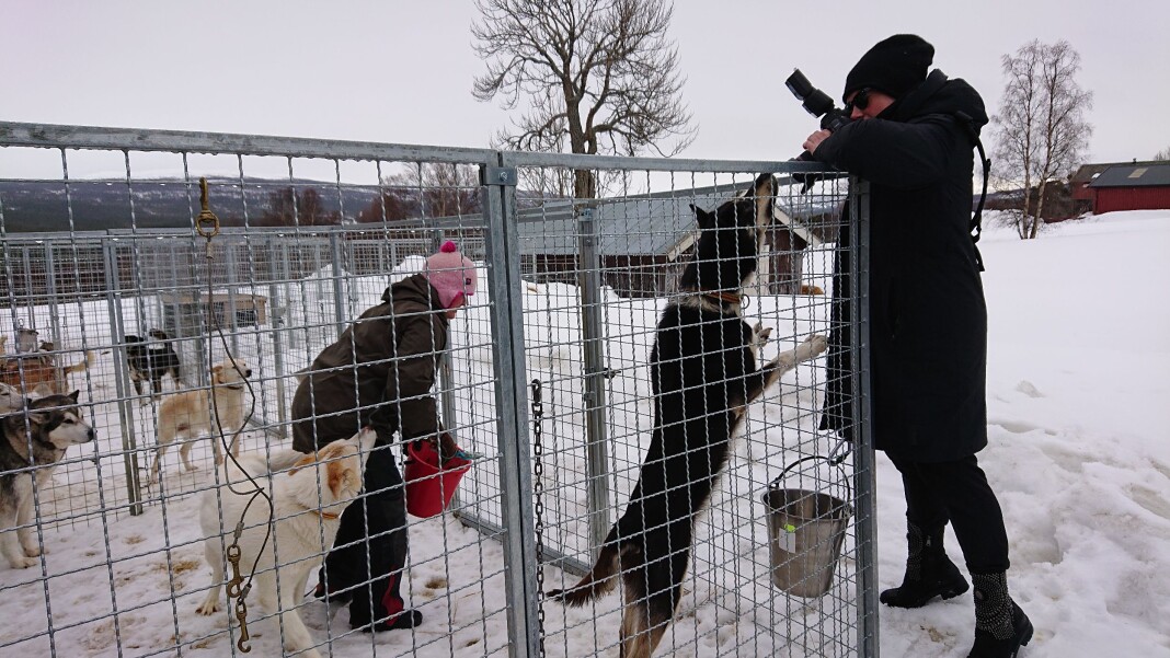Mariann Dybdahl i Adresseavisen på reportasjetur i Røros, én av kommunene som fortsatt står uten én eneste koronasmittet. – Jeg kjente litt ekstra på det da, som fotograf, sier hun. Mariann Dybdahl i Adresseavisen på reportasjetur i Røros, én av kommunene som fortsatt står uten én eneste koronasmittet. – Jeg kjente litt ekstra på det da, som fotograf, sier hun.