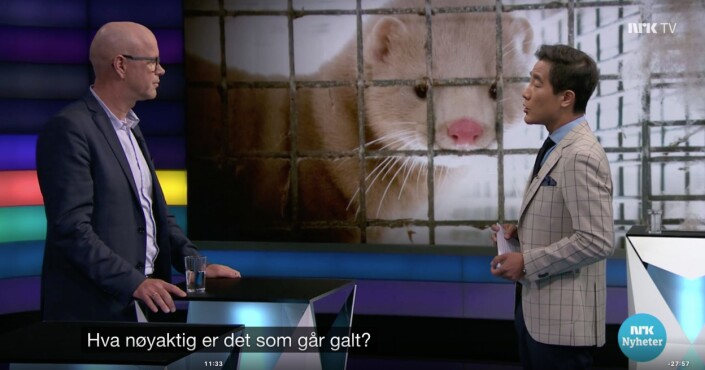 Debatten på NRK, 21. mai 2019, Mattilsynet og minkfarmen, ble felt på to VVP-punkter i PFU. Debatten på NRK, 21. mai 2019, Mattilsynet og minkfarmen, ble felt på to VVP-punkter i PFU.
