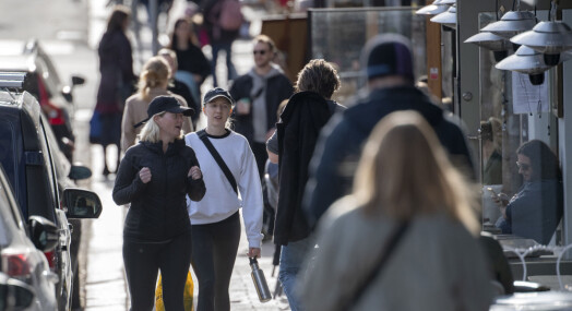 Falsk artikkel om Sveriges koronastrategi sprer seg på nett