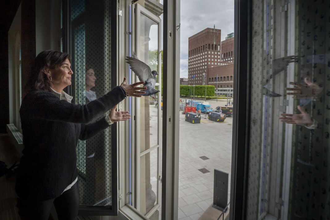 Kjersti Løken Stavrum, styreleder i Norsk Pen, slipper en fredsdue fra vinduene på Nobels Fredssenter. Kjersti Løken Stavrum, styreleder i Norsk Pen, slipper en fredsdue fra vinduene på Nobels Fredssenter.