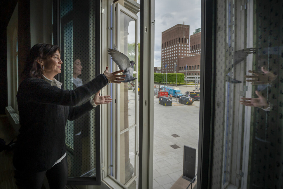 Kjersti Løken Stavrum, styreleder i Norsk Pen, slipper en fredsdue fra vinduene på Nobels Fredssenter.